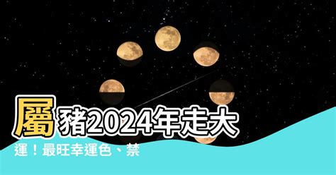 豬的幸運色|【屬豬 顏色】速查2024屬豬運勢指南：幸運色、財位、禁忌